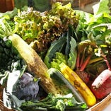 契約農家さん直送の新鮮野菜は、ときに土付きの状態で届くことも。採れたての美味しさをご提供いたします。