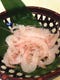 富山県新湊産の白エビ！透き通る宝石のような海老です