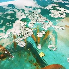 岡山料理と活魚の店 べんがら酒場 岡山市 居酒屋 ぐるなび 岡山料理と活魚の店 べんがら酒場 岡山市 居酒屋 ぐるなび