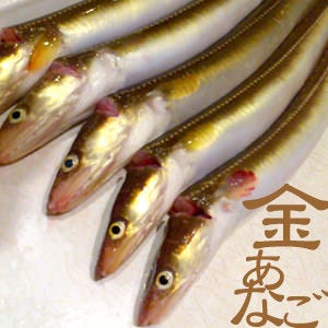 和個室処 あなご 銀座 はかりめ メニュー 名物あなご料理 ぐるなび 和個室処 あなご 銀座 はかりめ メニュー 名物あなご料理 ぐるなび