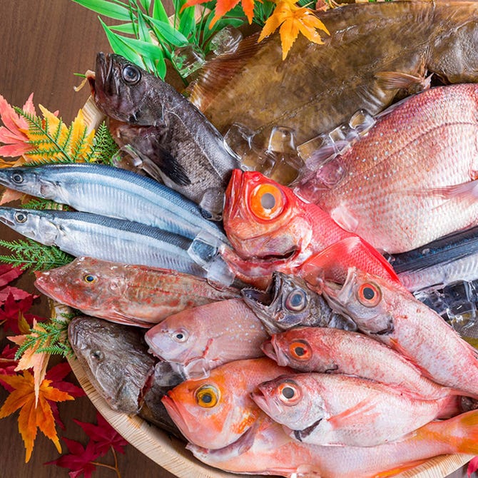 古民家個室 はまの家 横浜西口店 横浜駅 居酒屋 ぐるなび