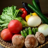旬をテーブルに♪朝露滴る地元三重県産の新鮮野菜が毎朝届きます