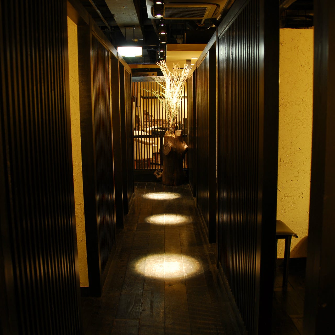 Sai Mizonokuchikoshitsu Photo Mizonokuchi Izakaya Japanese Style Pub Gurunavi Restaurant Guide Sai Mizonokuchikoshitsu Photo Mizonokuchi Izakaya Japanese Style Pub Gurunavi Restaurant Guide