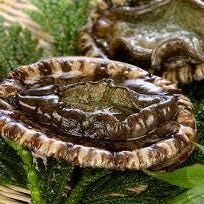 会員制 鉄板DINING 莢(SAYA)_《 シェフのおすすめBコース 》