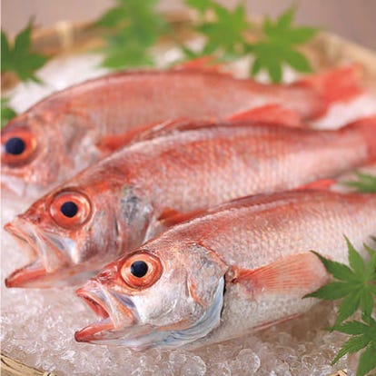 ゆったり個室 岡山県で食事 ディナー 人気の完全個室 ソファー席など ぐるなび