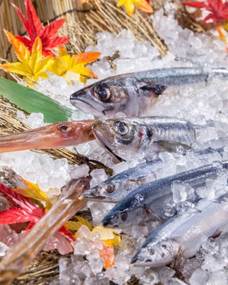 那覇 新都心 おもろまちで合コンするならここ 個室あり コスパ良しなど女子ウケ必至のお店5選