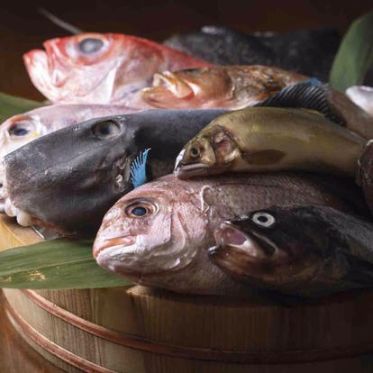 美味しいお店が見つかる 板宿駅周辺の居酒屋でおすすめしたい人気のお店 ぐるなび