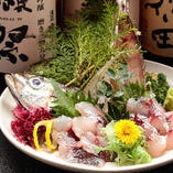 新鮮！鮮魚のお刺身【北海道】