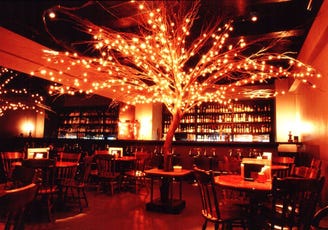 貸切 Dinning Bar Gazelle8 ガゼルエイト こだわり情報2 ぐるなび