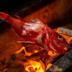 浪花ろばた 頂鯛 北新地店