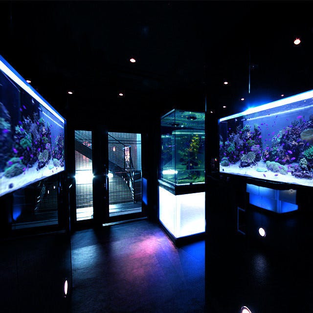 個室aquarium Resort 青の洞窟 難波店 なんば 難波 居酒屋 ぐるなび
