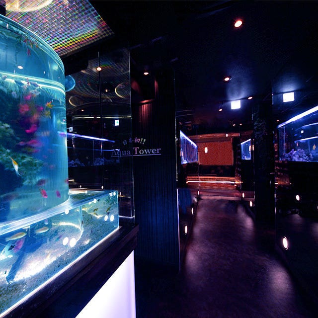 個室aquarium Resort 青の洞窟難波店相片 難波 居酒屋 Gurunavi 日本美食餐廳指南