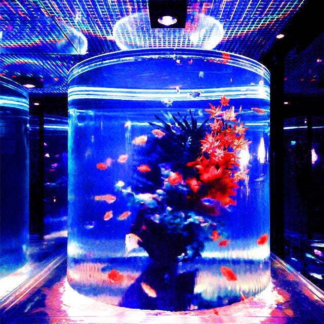 個室aquarium Resort 青の洞窟 難波店 なんば 難波 居酒屋 ぐるなび