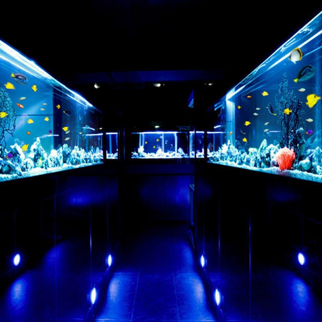 個室aquarium Resort 青の洞窟 難波店 なんば 難波 居酒屋 ぐるなび