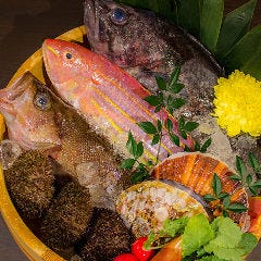 個室aquarium Resort 青の洞窟 難波店 自慢の食材 メッセージ入りデザートプレート ケーキ ぐるなび 個室aquarium Resort 青の洞窟 難波店 自慢の食材 メッセージ入りデザートプレート ケーキ ぐるなび