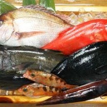 回転寿司 魚どんや  メニューの画像