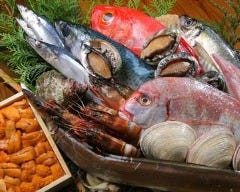 海鮮れすとらん魚輝水産 東鴻池店