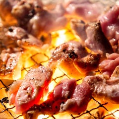 三河赤鶏 おいでん