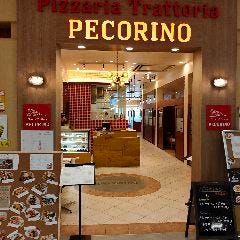 Pizzeria Trattoria PECORINO イオン幕張店 