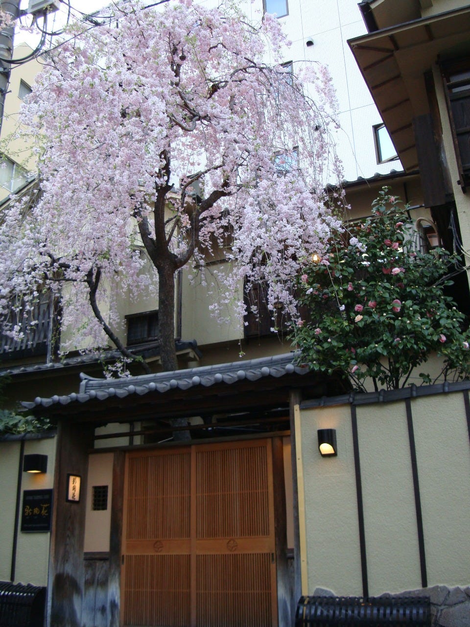新开花 御茶之水 怀石料理 多道日本传统菜肴 Gurunavi 日本美食餐厅指南