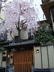 新開花 