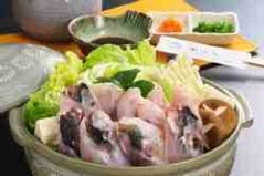 盛り付けの一例です。 セットに野菜は含まれていません。