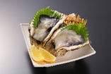 "生"岩牡蠣(2個)