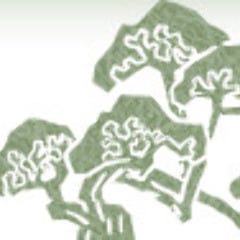 哲舟