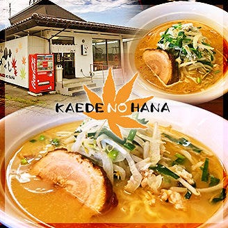 ら めん 楓の花 富山市 ラーメン ぐるなび