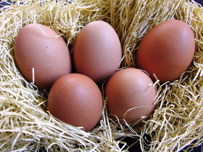 東広島市豊栄町産の卵