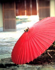 桜坂 観山荘
