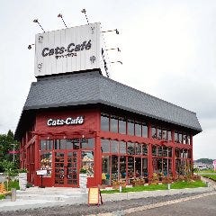 21年 最新グルメ 多治見にある夜カフェ女子会におすすめのお店 レストラン カフェ 居酒屋のネット予約 岐阜版