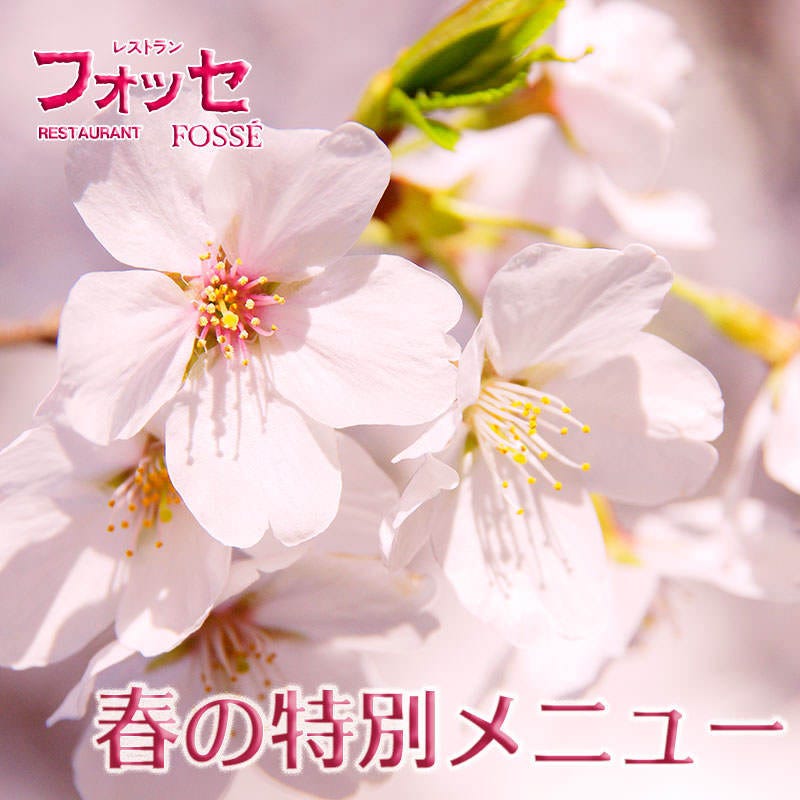 21年 最新グルメ 市ヶ谷にある接待に使えるお店 レストラン カフェ 居酒屋のネット予約 東京版