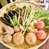 千葉県産の新鮮野菜＆オーガニック野菜【千葉県】