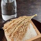 ご飯ものは都度厳選したお米を、温度管理をしっかりとしたイオン水炊いています。