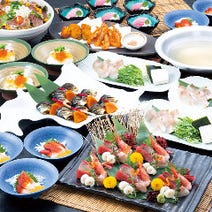 ［天王寺 個室 居酒屋］北海道の幸と地酒 札幌弥助 天王寺店の画像