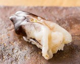 春が旬のトリ貝は、殻付きで仕入れたものを握るので美味だ。