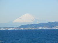 漁師料理たてやま