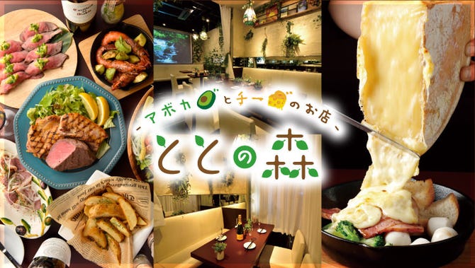 アボカドバル ととの森 錦糸町店 錦糸町 住吉 居酒屋 ぐるなび