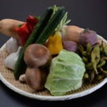 丹波の新鮮な野菜【兵庫県】