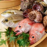 淡路島・三重・和歌山産の天然鮮魚【和歌山県】