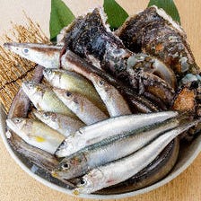 生簀の天然鮮魚をお造りや天ぷらへ♪