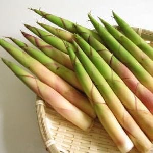 日本料理 花 味兆 メニュー 旬菜 野菜 ぐるなび
