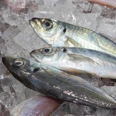日本料理 花・味兆