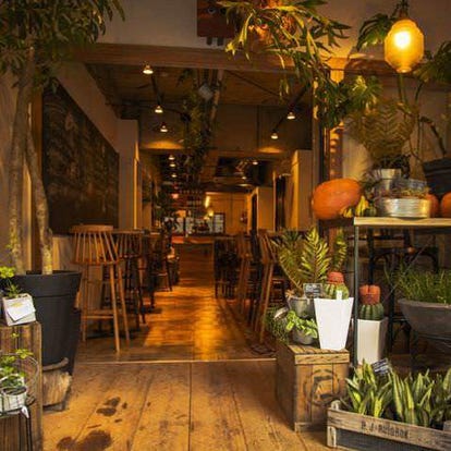 美味しいお店が見つかる 札幌大通 狸小路 おしゃれな雰囲気 おすすめ人気レストラン ぐるなび