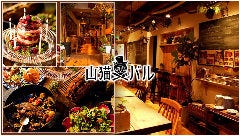 山猫バル
