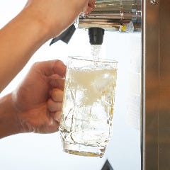 男女問わず人気のハイボールは定番をはじめ7種類をご用意