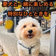 フィッシュ&チップス専門店 マレーコッド 岡山店_テラス席あり!ワンちゃんOK!歓迎!