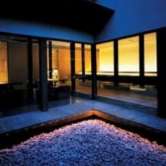 茶茶 花
