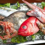 近海の新鮮な魚介類をふんだんに使用！